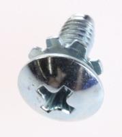 WS,TH,+,M4,L10,ZPC(YEL) 6006-001170 Skrue