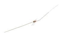 RB441Q 0404-000156 Schottky-diode,RB441Q,10V,100mA,DO-34,TP