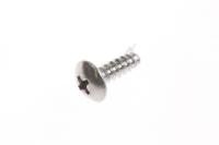 6002-001006 SKRUE (TAPPING,TH,+,2S,M4,L12,STS410)