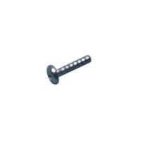 9002850610 C00896214 SKRUE PT-4X16