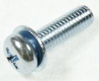 BN61-09437A SKRUE (PH+,SWRCH18A,L28,M8,ZPC)