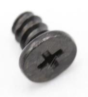 6003-001881 SKRU M2,L3,ZPC(BLK),SWRCH1