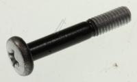 6001-003072 Skrue, BH,+,WS,M4,L25,NI PLT,SWRC